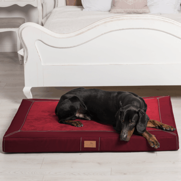 oscar vip orthopädische hundematratze