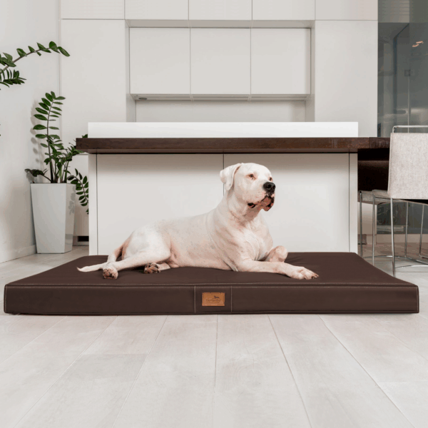 oscar easy clean orthopädische hundematratze