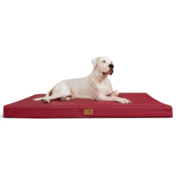 os ll 04 dunkelrot tierlando orthopaedische hundematratze oscar kunstleder xxl 1 2.png