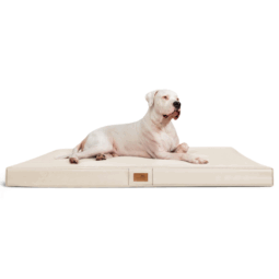 os ll 05 creme tierlando orthopaedische hundematratze oscar kunstleder xxl 1 1.png