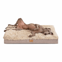 pab 14 beige pablo orthopaedische hundematratze kuschelig weich pluesch meliert polsterstoff 1 1.png