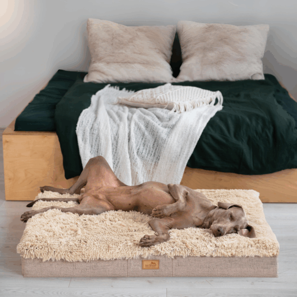 pablo orthopädische hundematratze