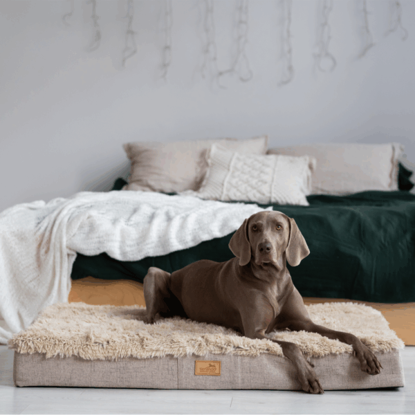 pablo orthopädische hundematratze