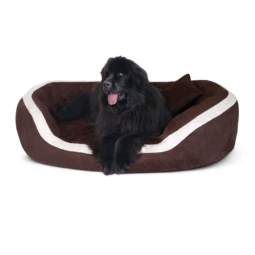 pe 01 braun pepper tierlando orthopaedisches hundebett pepper xxl velours 1 1.png