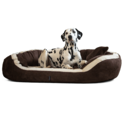 pepper soft orthopädisches hundesofa