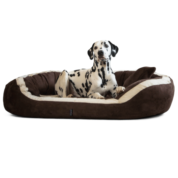pepper soft orthopädisches hundesofa