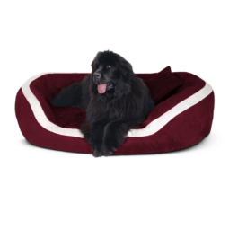 pe 04 dunkelrot pepper tierlando orthopaedisches hundebett pepper xxl velours 1.png