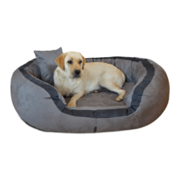 pe 06 grau pepper tierlando orthopaedisches hundebett pepper xxl velours 1.png