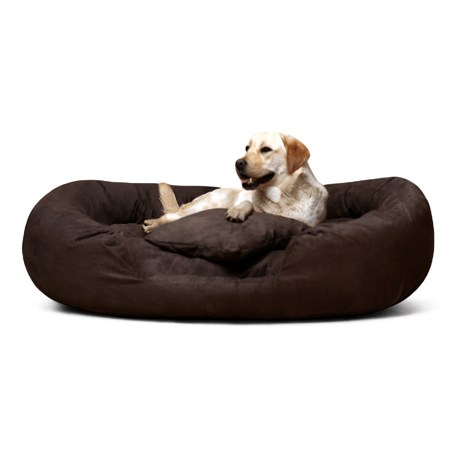 philip soft velours 140 170cm xl xxl xxxl hundesofa | hundebett