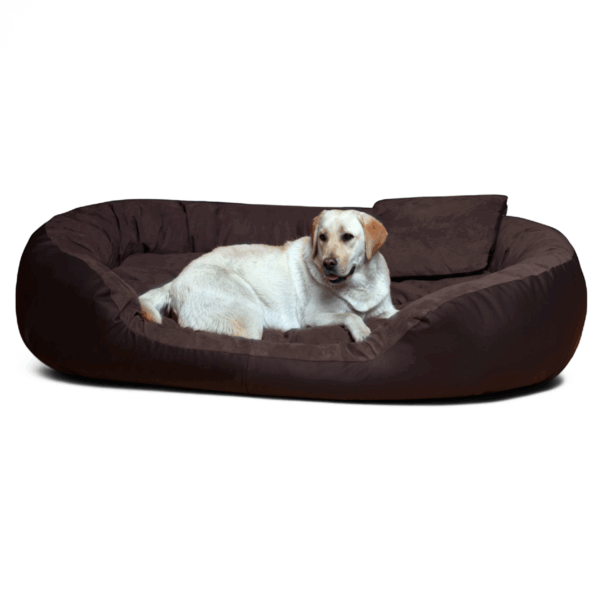 philip vip kunstleder velours 110 140 170cm xl xxl xxxl | hundebett