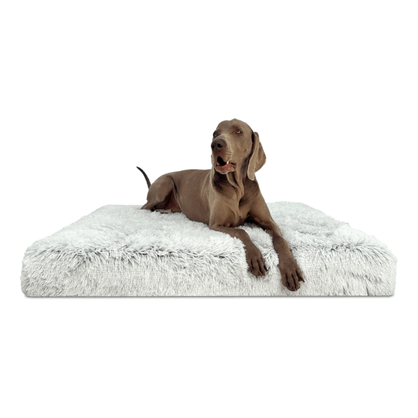 pitt shaggy ortho plus orthopädisches hundematratze