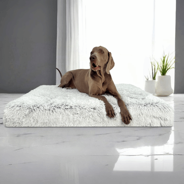 pitt shaggy ortho plus orthopädisches hundematratze