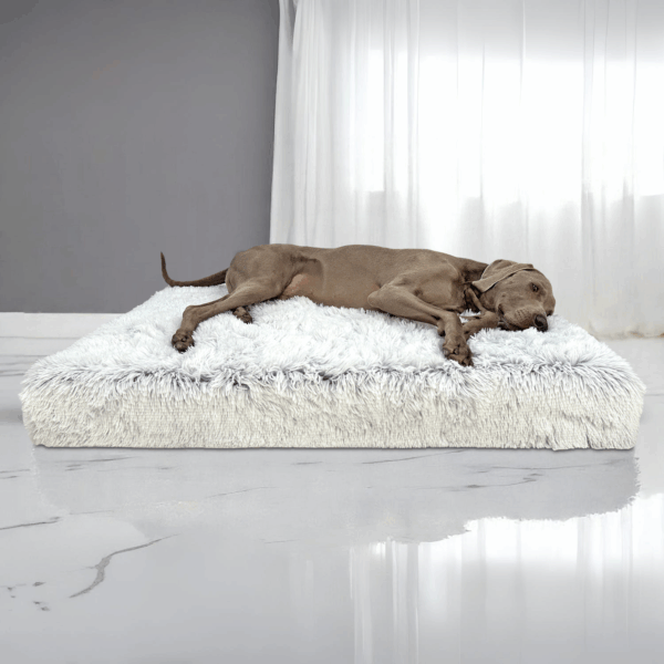 pitt shaggy ortho plus orthopädisches hundematratze