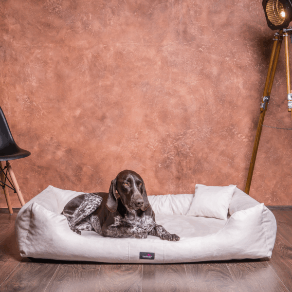 pluto soft orthopädisches hundebett