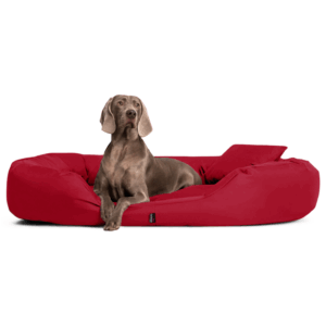 sammy | robustes polyester dicke umrandung | hundebett