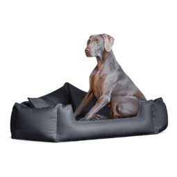 spx 02 spencer orthopaedisches hundebett 5 eckig kunstleder visco tierlando 1 2.png