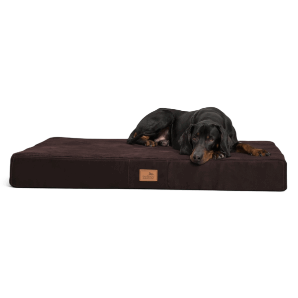 stuart soft orthopädische hundematratze