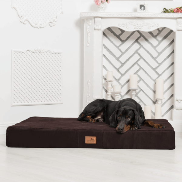 stuart soft orthopädische hundematratze