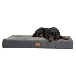 stu 02 graphit orthopaedisches hundebett stuart visco plus tierlando pluesch velours ultraweich xxl hundematte 1 1.png
