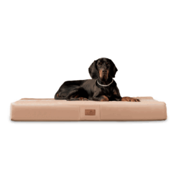 stu 14 beige orthopaedisches hundebett stuart visco plus tierlando pluesch velours ultraweich xxl hundematte 1.png