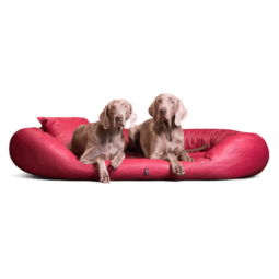 sv ll 04 dunkelrot sammy easy clean kunstleder orthopaedisches hundebett tierlando visco 1 1.png
