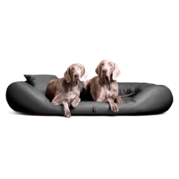 sv ll 06 grau sammy easy clean kunstleder orthopaedisches hundebett tierlando visco 1.png