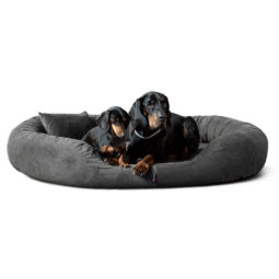 sammy soft orthopädisches hundebett