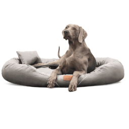 tif a 05 creme tiffany couture tierlando orthopaedisches hundebett 1.png