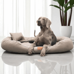 sale | tiffany couture orthopädisches hundebett | blau | 145x105cm
