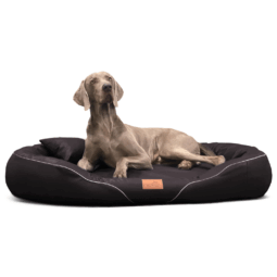 tiffany easy clean orthopädisches hundebett