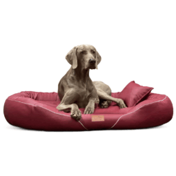tif ll 04 dunkelrot tierlando orthopaedisches hundebett tiffany kunstleder anti allergiker easy clean 1 1.png