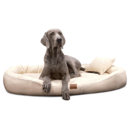 tif ll 05 creme tierlando orthopaedisches hundebett tiffany kunstleder anti allergiker easy clean 1.png