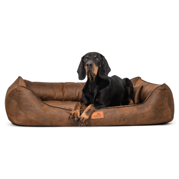 alberto orthopädisches hundebett in lederoptik