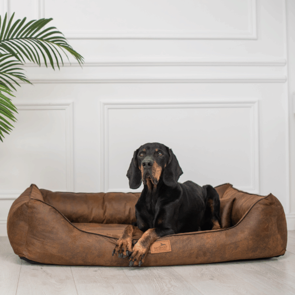 alberto orthopädisches hundebett in lederoptik