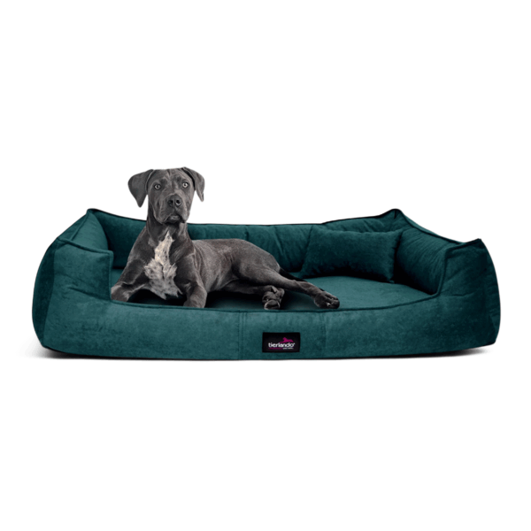 bruce velours orthopädisches hundebett