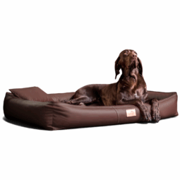cff ll 01 braun orthopaedisches hundebett tierlando clifford kunstleder 1.png