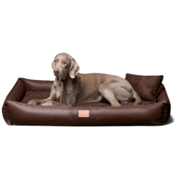 cff tl 01 braun orthopaedisches hundebett tierlando clifford kunstleder velours grosse hunde matratze 1 2.png