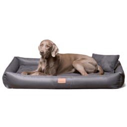 clifford vip orthopädisches hundebett