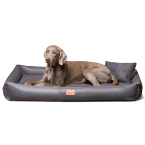 clifford vip orthopädisches hundebett