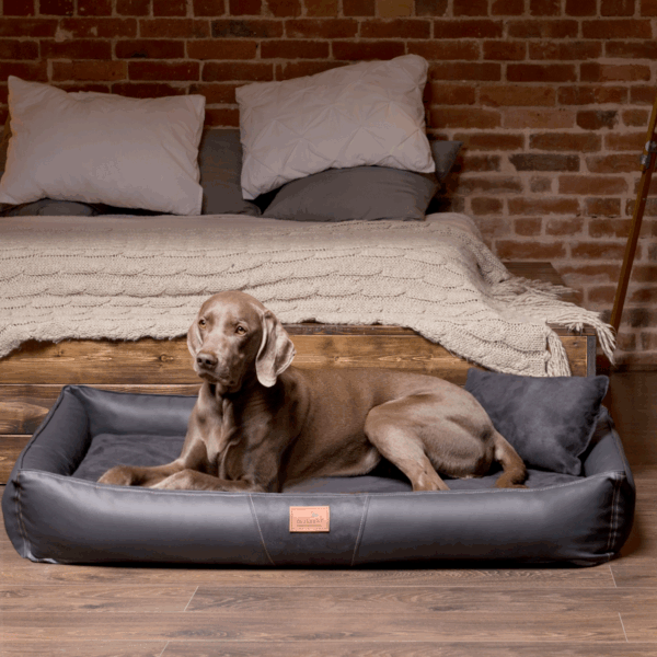 clifford vip orthopädisches hundebett