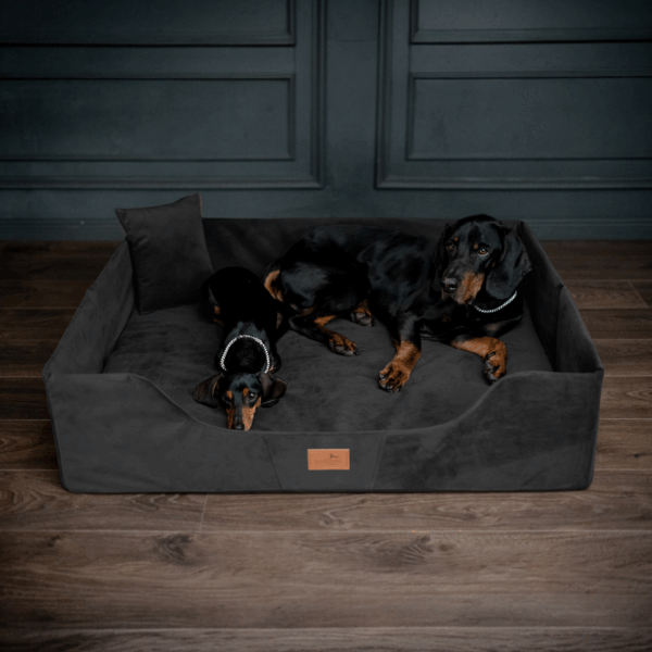 columbus orthopädisches hundebett für reisen und urlaub