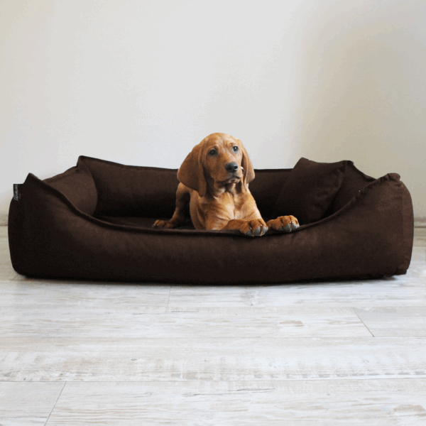 donald orthopädisches hundebett