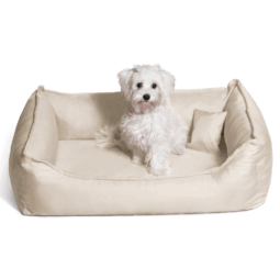 d 05 creme donald orthopaedisches hundebett tierlando polyester 1.png