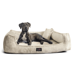 franklin teddy orthopädisches hundebett