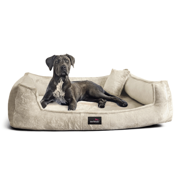 franklin teddy orthopädisches hundebett
