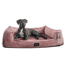 fra 07 altrosa franklin tierlando orthopaedisches hundebett kuschlig velours 1.png