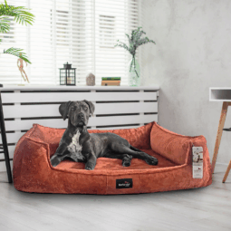 sale | franklin teddy orthopädisches hundebett | terracotta | 130x100cm