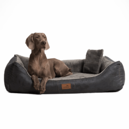 floyd velours plüsch orthopädisches hundebett
