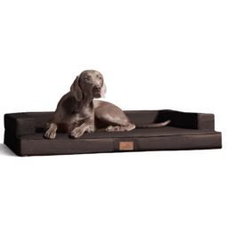 gi 01 braun tierlando gibson orthopaedisches hundebett kunstleder 1 2.png