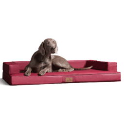 gibson orthopädisches hundesofa
